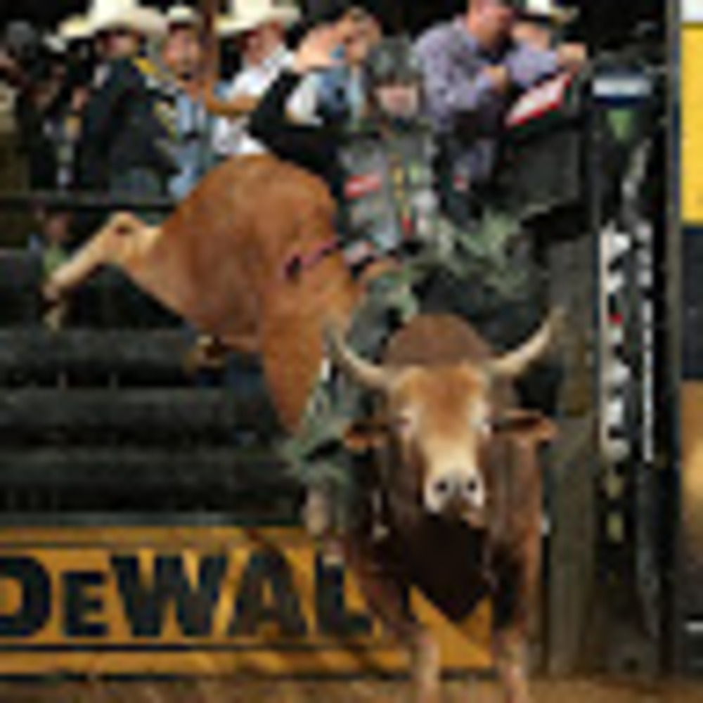 Meet your Posher, Melanie